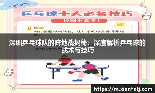 77体育电脑版