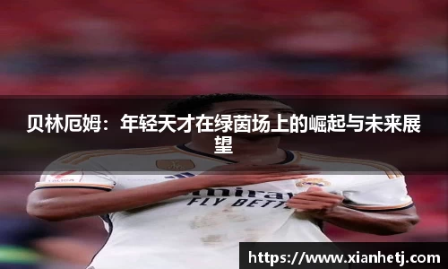 77体育app下载官网