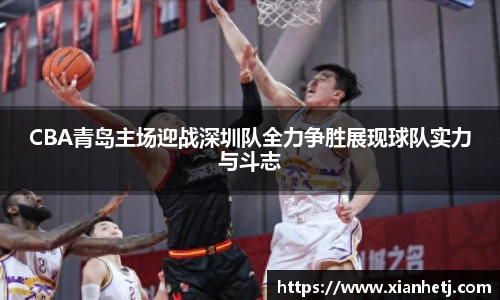 77体育app下载官网