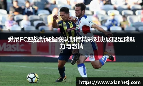 77体育